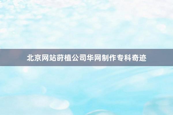北京网站莳植公司华网制作专科奇迹