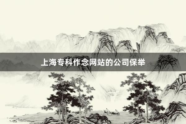 上海专科作念网站的公司保举