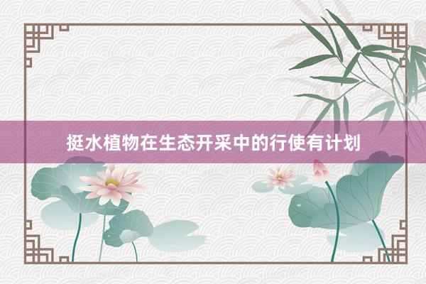 挺水植物在生态开采中的行使有计划
